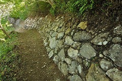 写真：鉢巻石垣