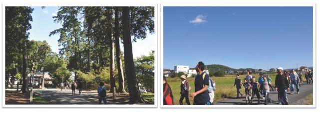 取材日記平成26年11月（歩けたんぼ）