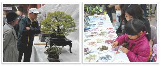 H27浜北植木まつり（盆栽）