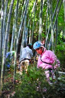 放置竹林を整備する人