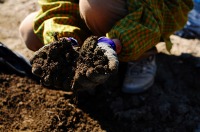 竹が分解し、土になった様子