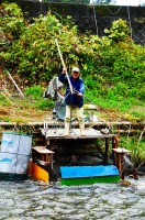 網で鮎を引き上げる人