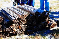 手作りされた堆砂垣のすだれ