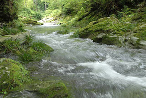 阿多古川の清らかな流れ