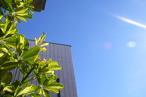 環境、医療、防災の魅力2