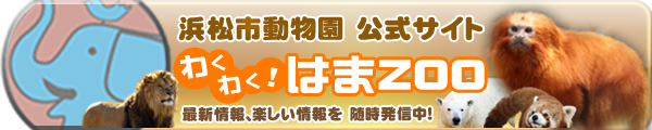浜松市動物園協会のHPへ（別ウインドウが開きます）