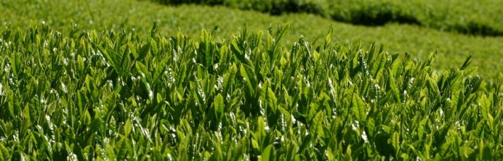 活動地域紹介画像