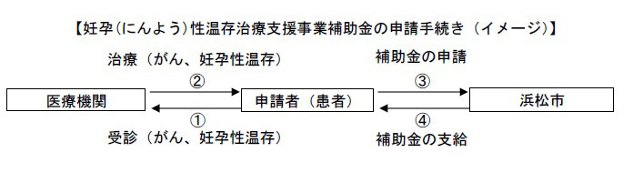 妊孕(にんよう)性温存治療支援事業補助金の申請手続き(イメージ)