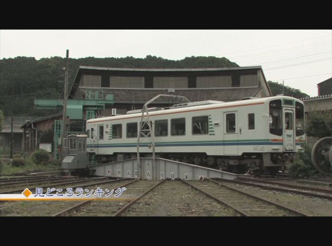 見どころいっぱい！天竜浜名湖鉄道を再生