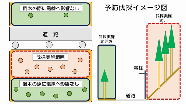 予防伐採イメージ図