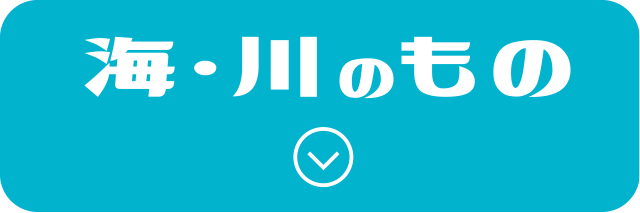 海・川のもの